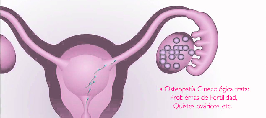 La osteopatía ayuda con los problemas de fertilidad, asi como con dolores menstruales.