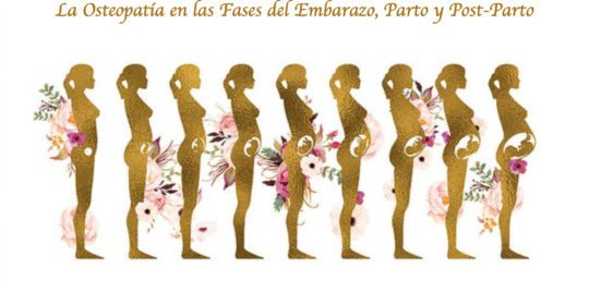 Como la osteopatía te puede ayudar durante el embarazo, parto y post-parto.